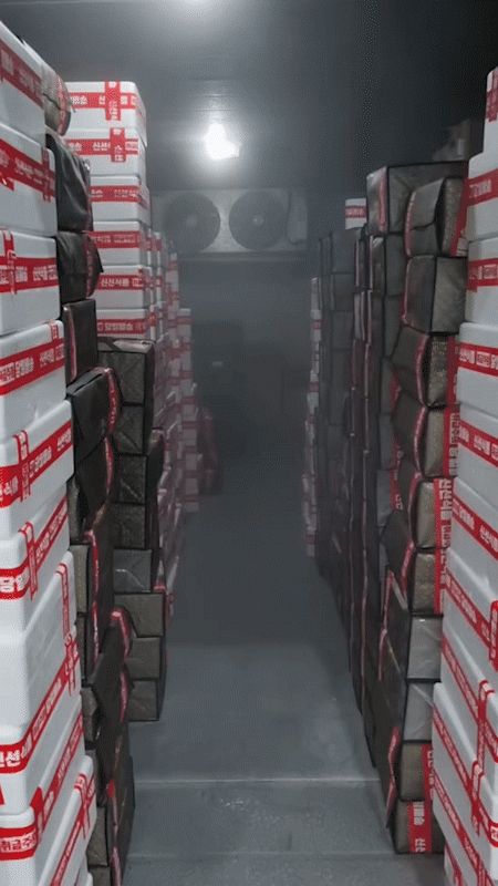1abd7e58acb8b816fb5ab8d38371f985_1758730245_5764.gif